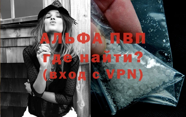 PSILOCYBIN Заволжье