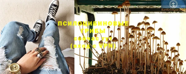 метамфетамин Заводоуковск