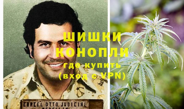 PSILOCYBIN Заволжье