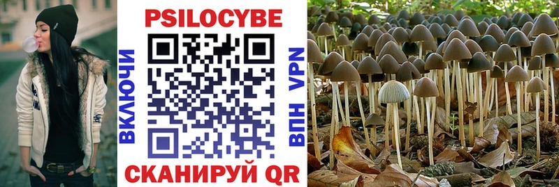 Купить где  Пионерский  Галлюциногенные грибы Magic Shrooms 